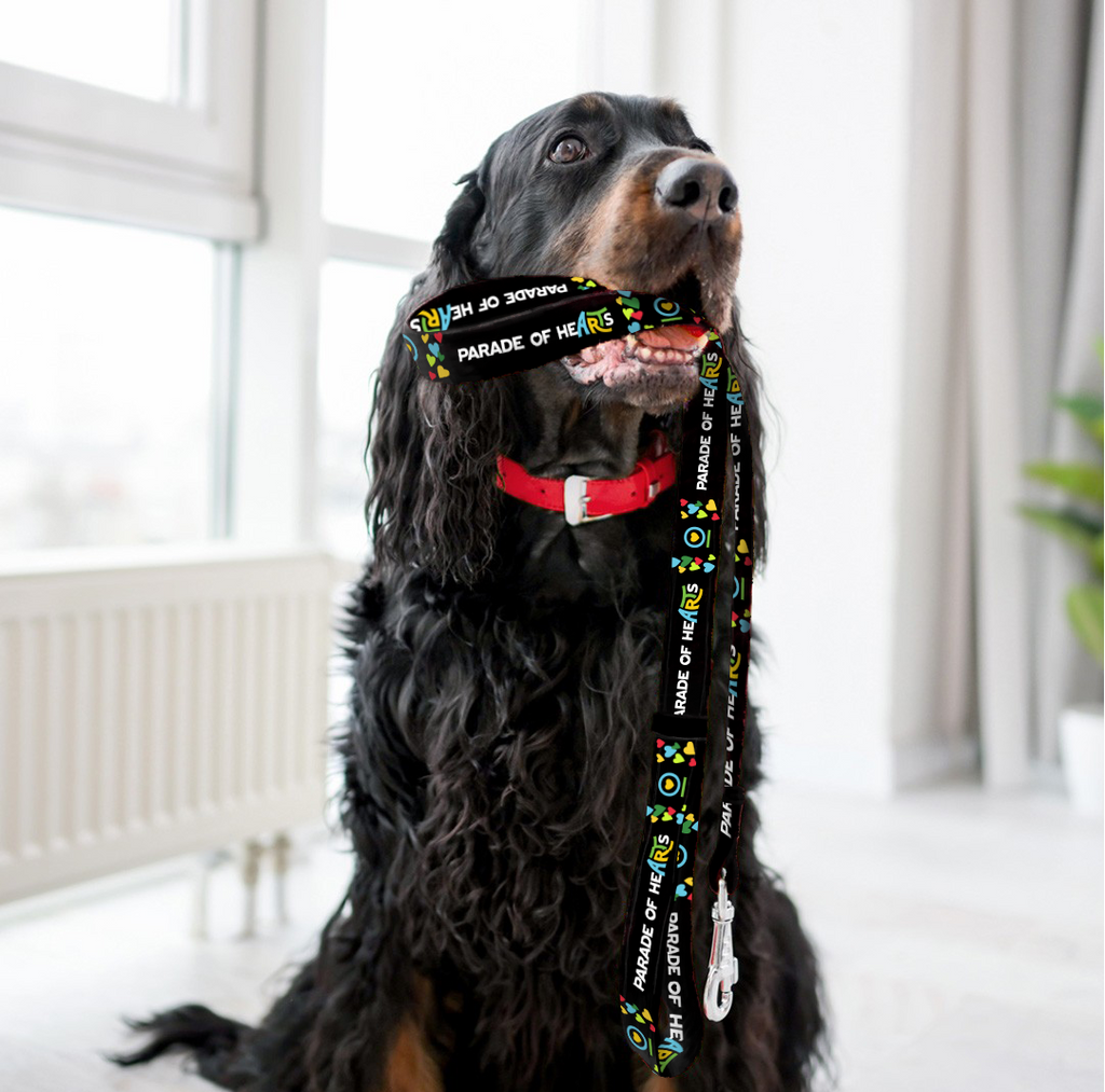 Dog Leash